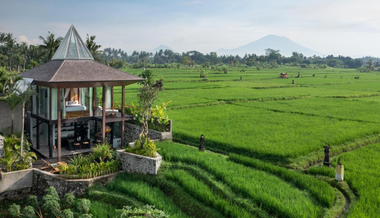 Gdas Bali Health And Wellness Resort - Adult Only Убуд Экстерьер фото