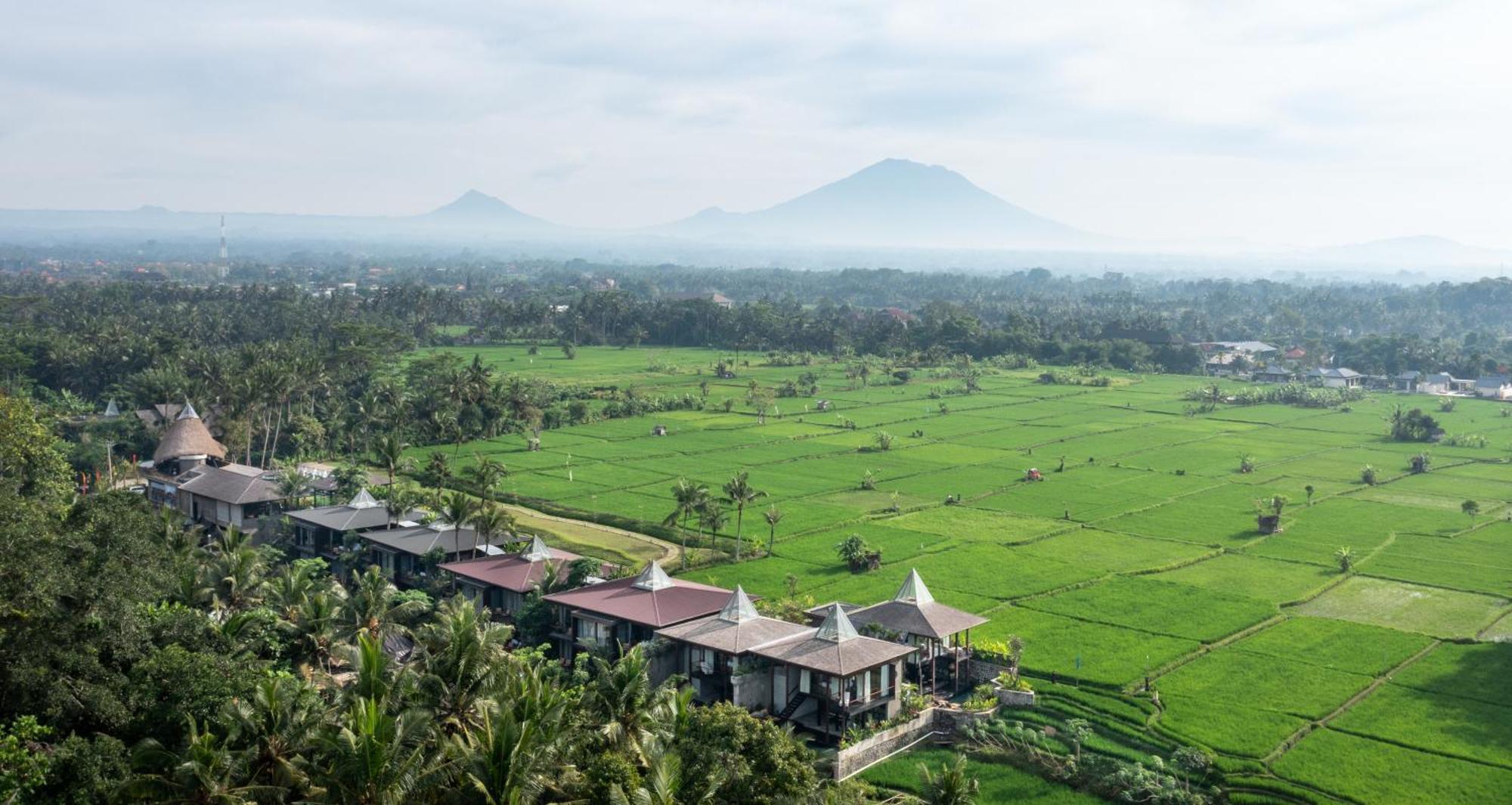 Gdas Bali Health And Wellness Resort - Adult Only Убуд Экстерьер фото